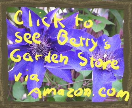 Click here to go to Betty's garden store.
